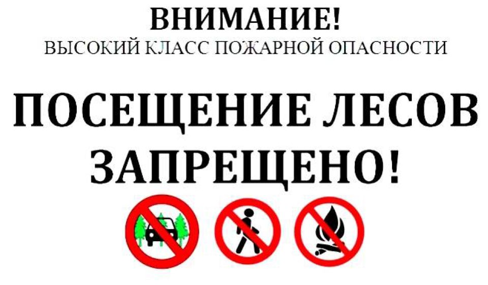 Запрет баннеров. Посещение леса запрещено. Запрет на посещение лесов. Ограничение посещения лесов. Посещение леса запрещено пожароопасный период.
