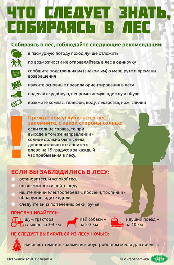 Что следует знать, собираясь в лес