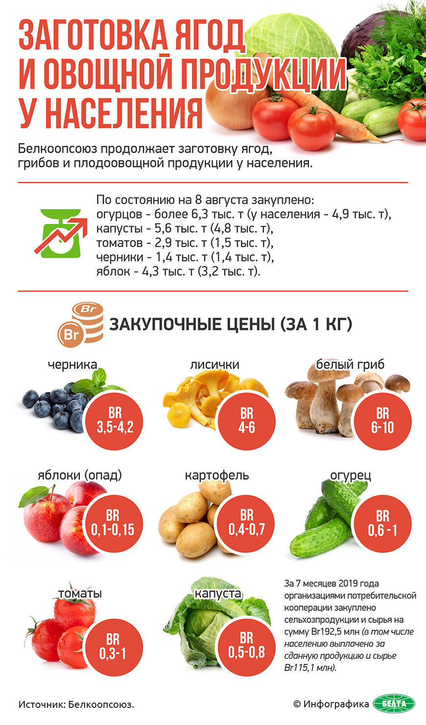 Заготовка ягод и овощной продукции у населения (инфографика)