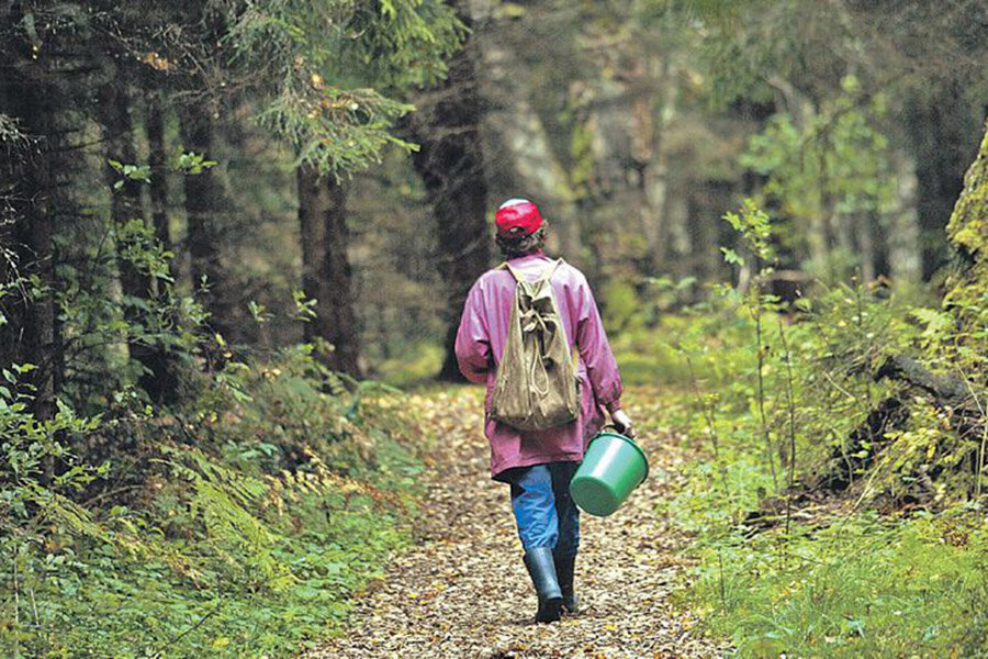 В Кировском районе нашли заблудившихся мужчину и женщину