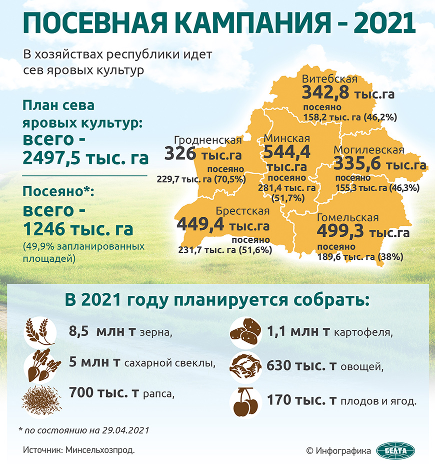 Посевная кампания-2021 (инфографика)