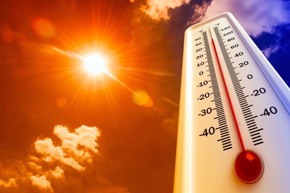 До +35°С ожидается в Беларуси 22 июня – объявлен оранжевый уровень опасности