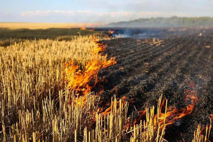 Кировские спасатели настоятельно рекомендуют не сжигать стерню на полях