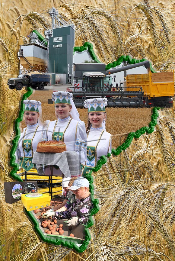 21 ноября – День работников сельского хозяйства и перерабатывающей промышленности АПК