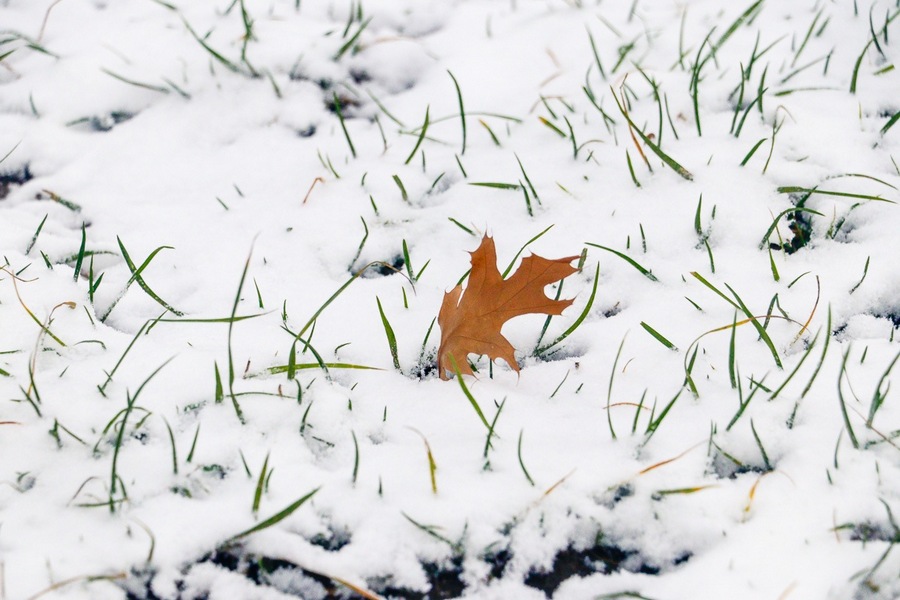 В Кировске – первый снег! И снова здравствуй, зима! (фотофакт)
