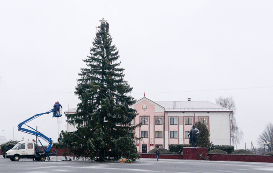В Кировске украшают главную Новогоднюю елку района