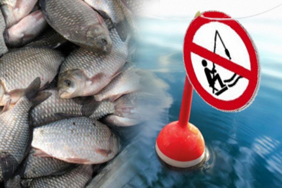 С 1 апреля – нерестовый запрет на лов рыбы<br data-eio=