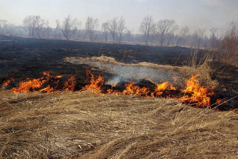 Кировские спасатели в марте уже 8 раз выезжали на ликвидацию возгорания сухой растительности