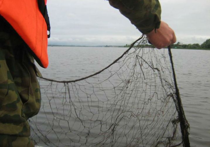 Орудия рыболовства должны быть законными – Бобруйская межрайонная инспекция охраны животного и растительного мира
