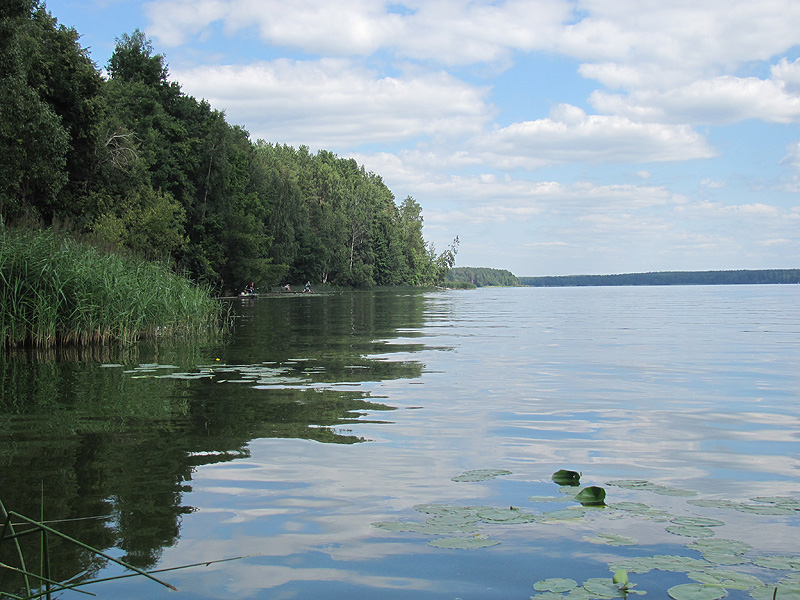 Озеро “Селище” – единственное разрешенное место для купания на Кировщине