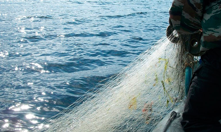 За прошедшую неделю на Могилевщине выявлено 11 нарушений Правил ведения рыболовного хозяйства и рыбоводства