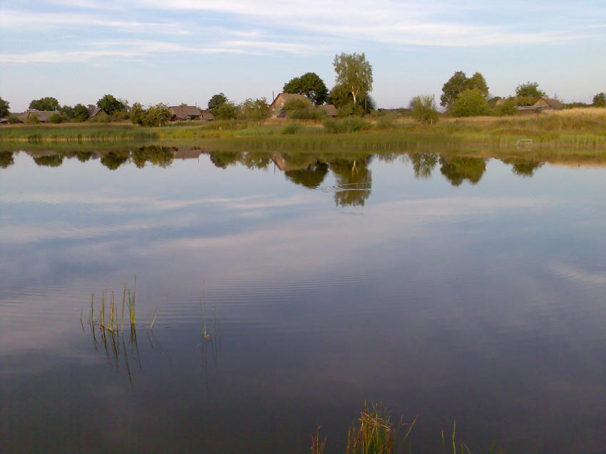 Купаться на Кировщине можно только на озере “Селище” – напоминает Кировский райЦГЭ