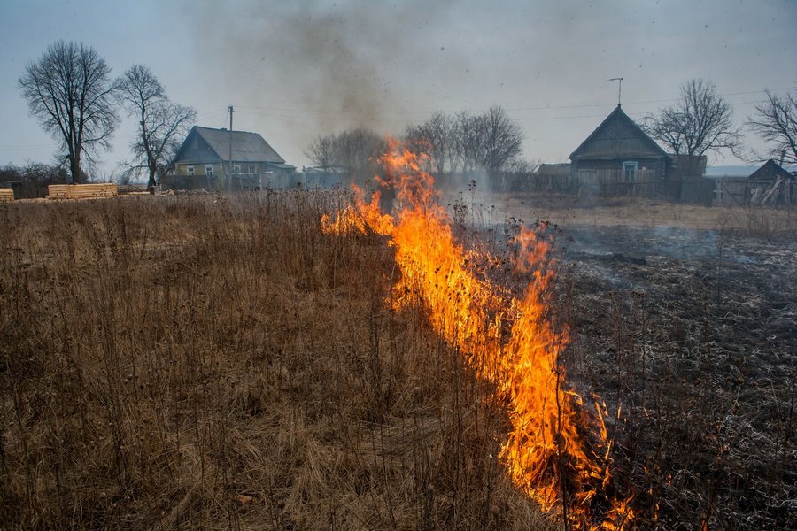Не допускать палов и выжигания сухой растительности – Кировская райинспекция природных ресурсов и охраны окружающей среды