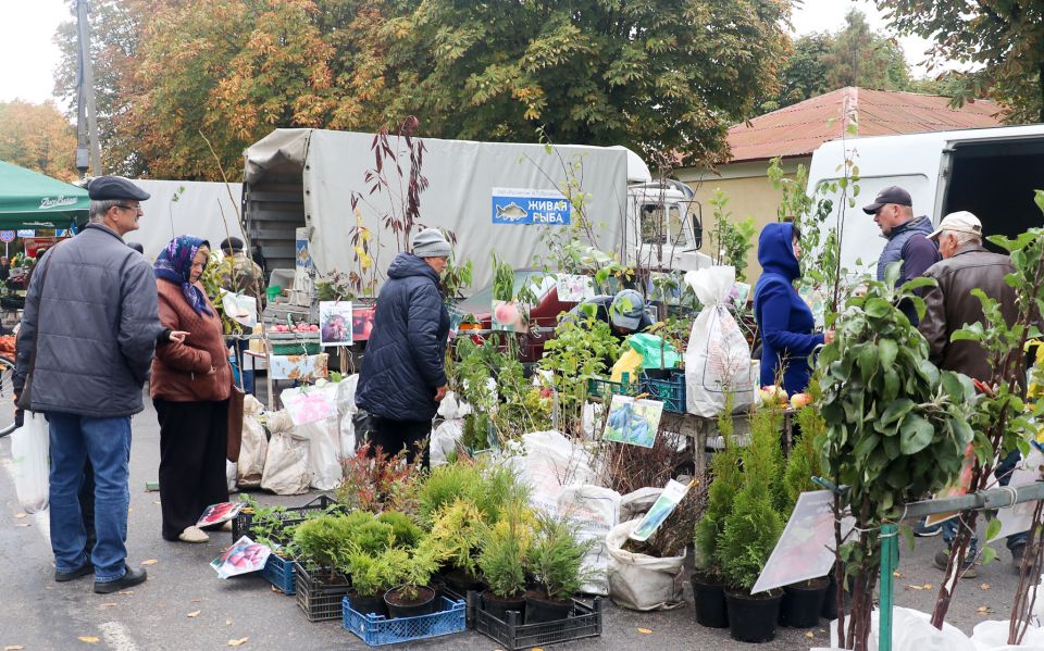 На Кировщине стартовал сезон осенних сельскохозяйственных ярмарок