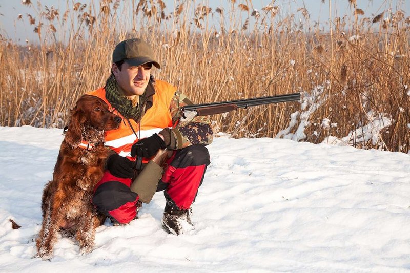 Осенне-зимний сезон охоты на пушных зверей установлен в Беларуси