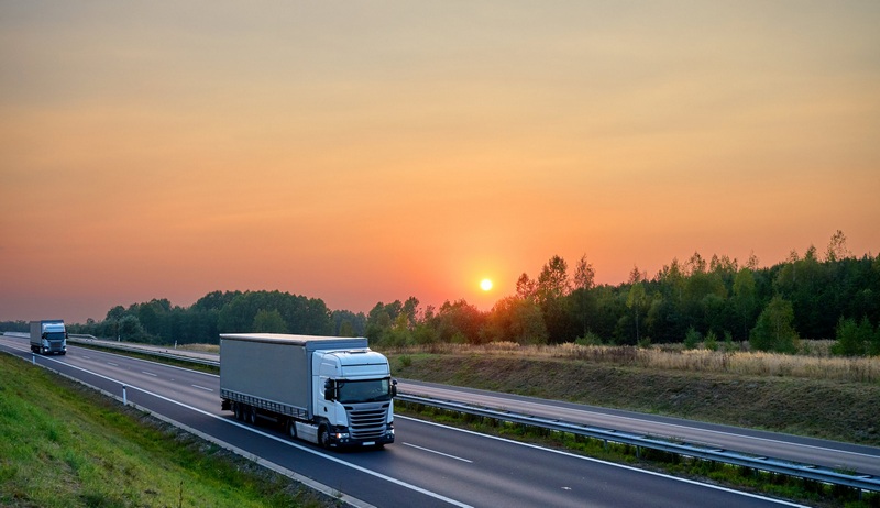Комплекс профилактических мероприятий в отношении водителей грузового транспорта проводит ГАИ