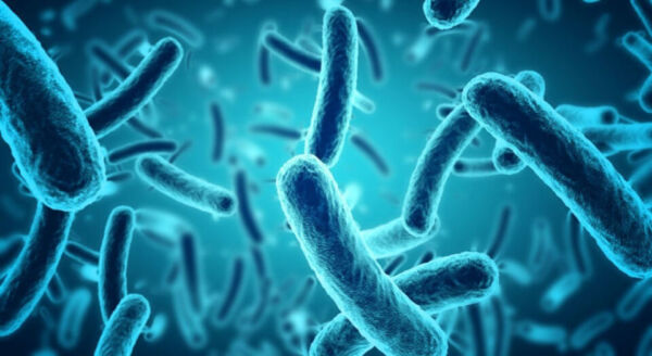 Инфекции, о которых нужно знать всё