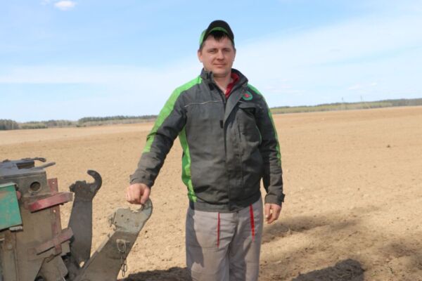 Час царыцы палёў — сяўба кукурузы на Кіраўшчыне