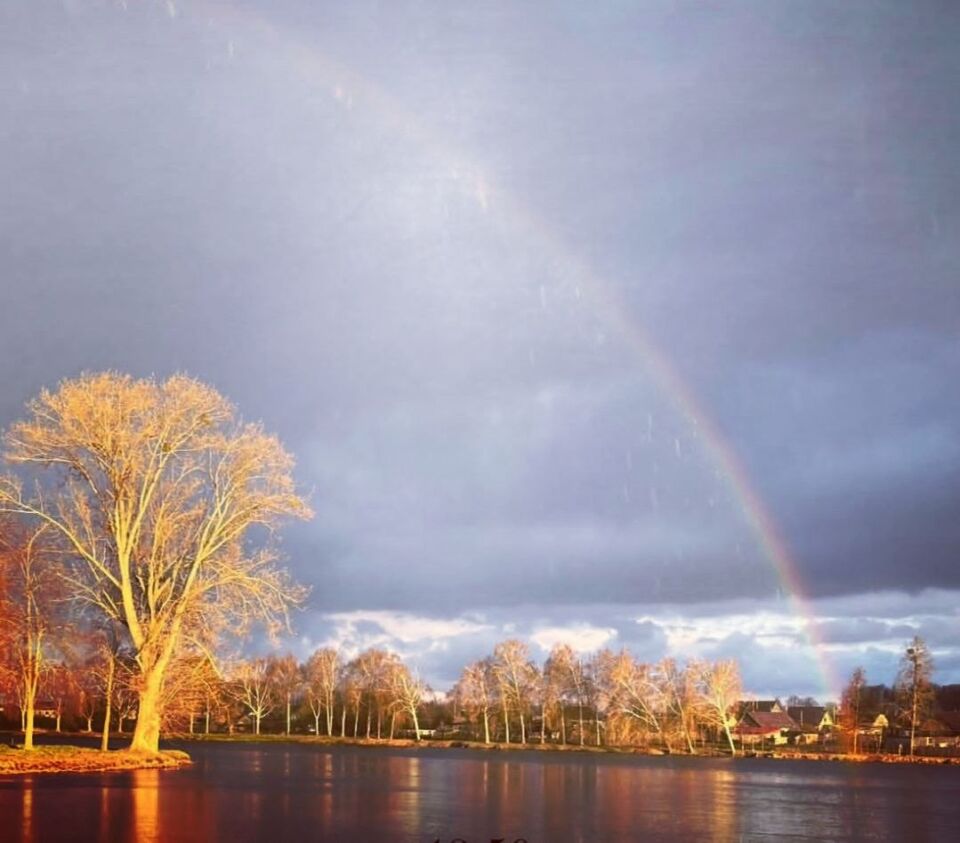 Радужный апрель в Кировском районе. Фото