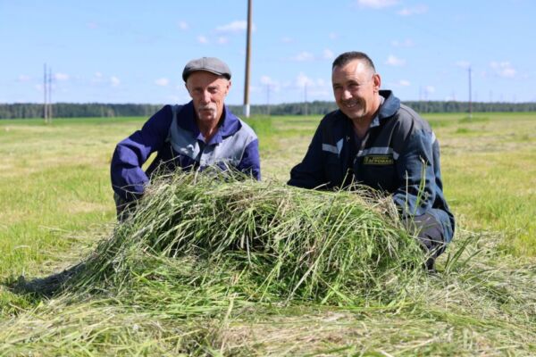 На береснёвских полях кипит работа по закладке кормов