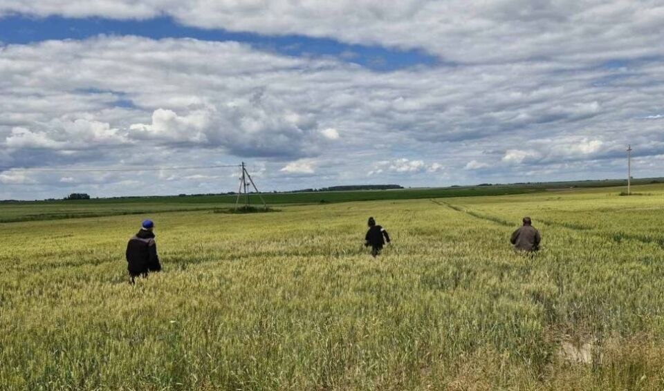 Труд и профилактика