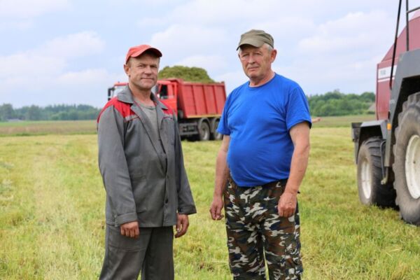 Активная уборка многолетних бобово-злаковых трав ведётся в Кировском районе