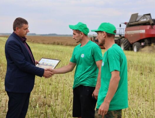 Жатва на Кировщине идёт полным ходом