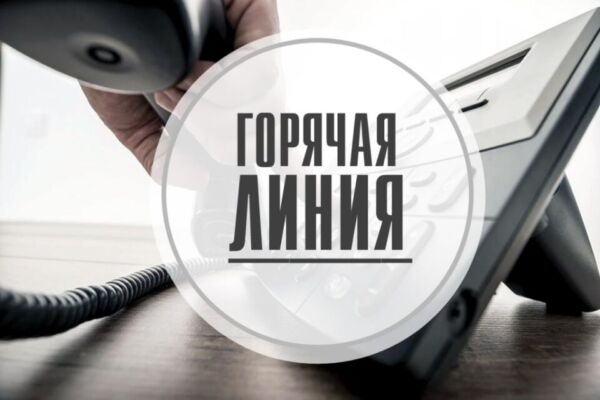 Горячая линия