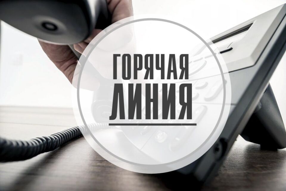 Горячая линия